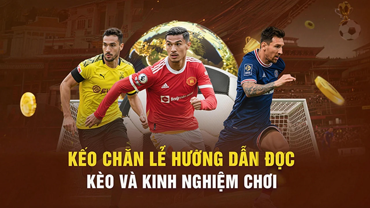 M88CVF: Cẩm nang casino theo từng bước | m88cvf.cam